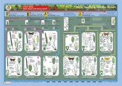 Classification Equipments